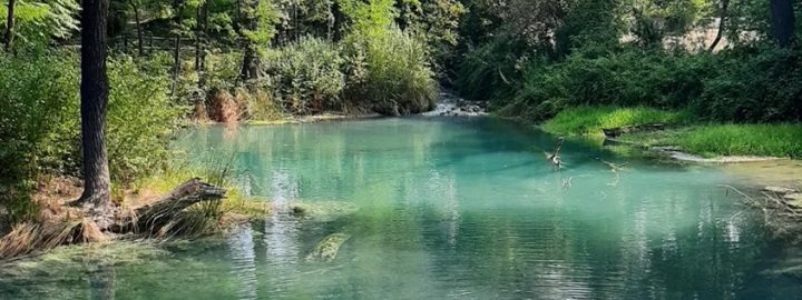 Acqua solfurea(硫黄泉)