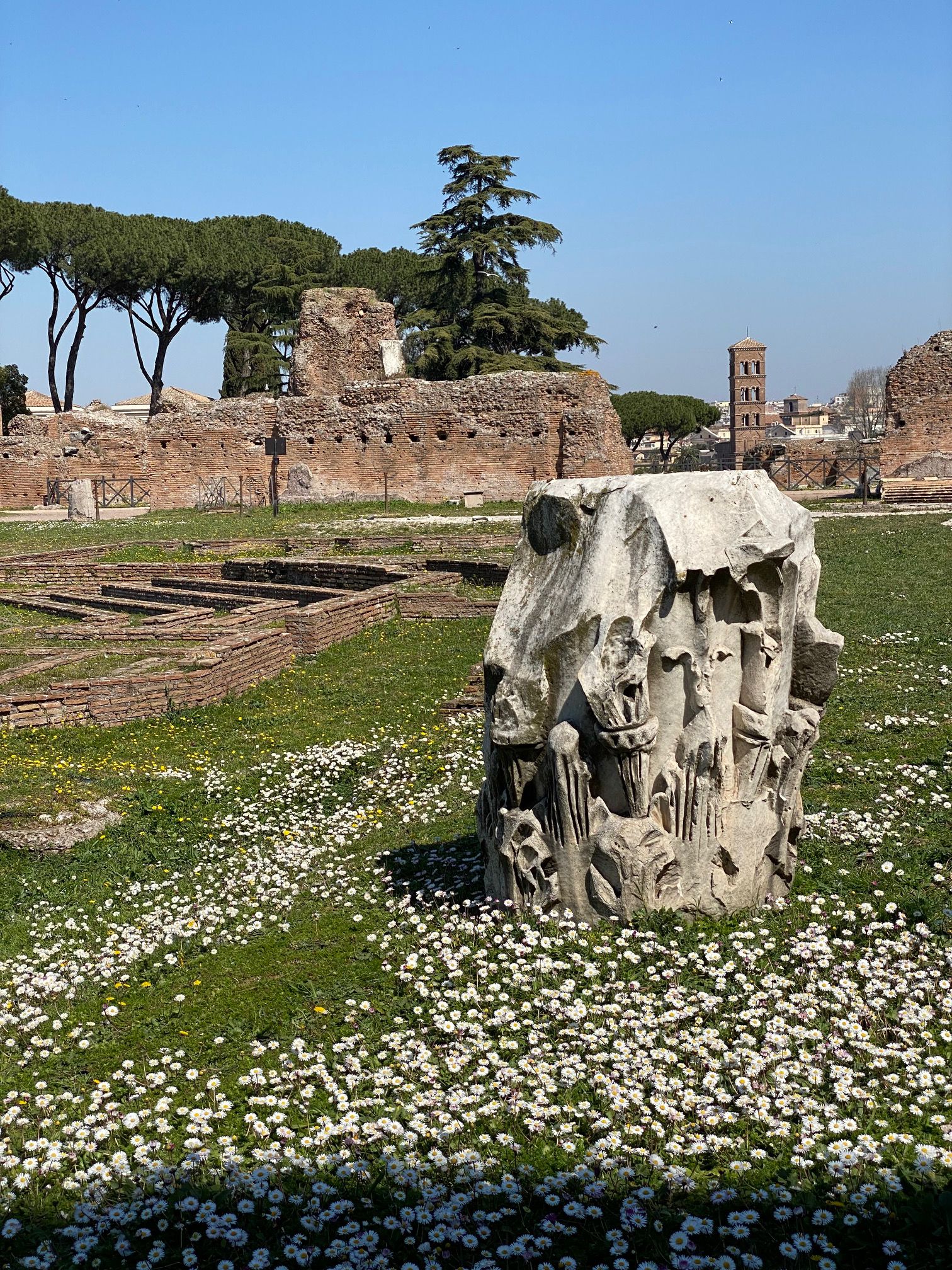 ⑧お花畑パラィヌスの丘と皇帝宮殿の柱の一部